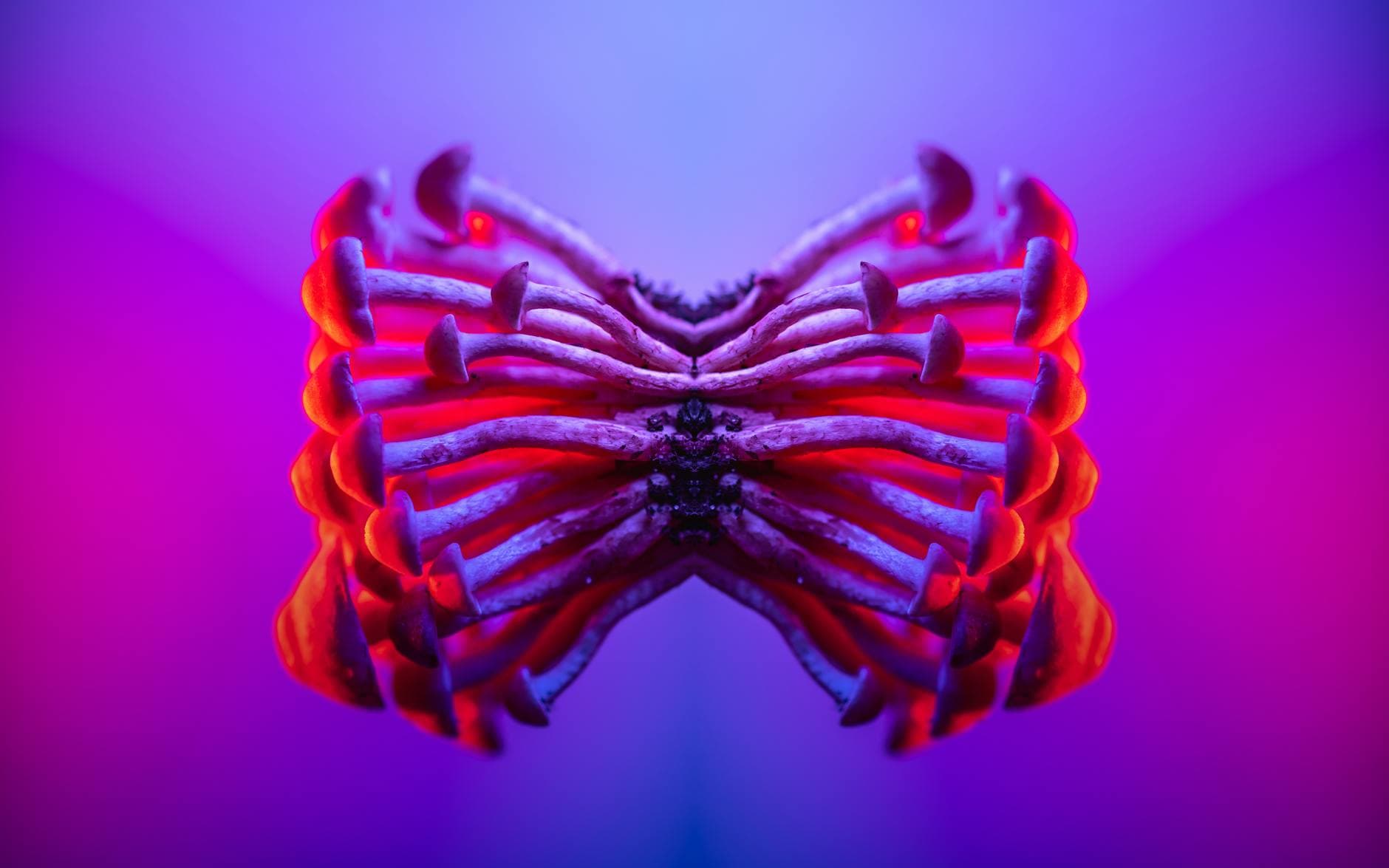 Psychedelic laboratory research