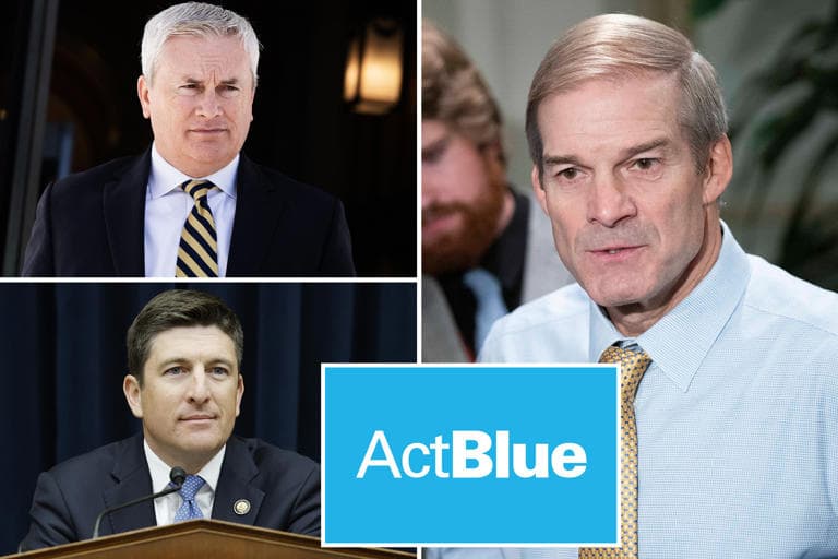 ActBlue's own lawyers warned the CEO she was lying to Congress about foreign donors — she testified anyway — documented evidence