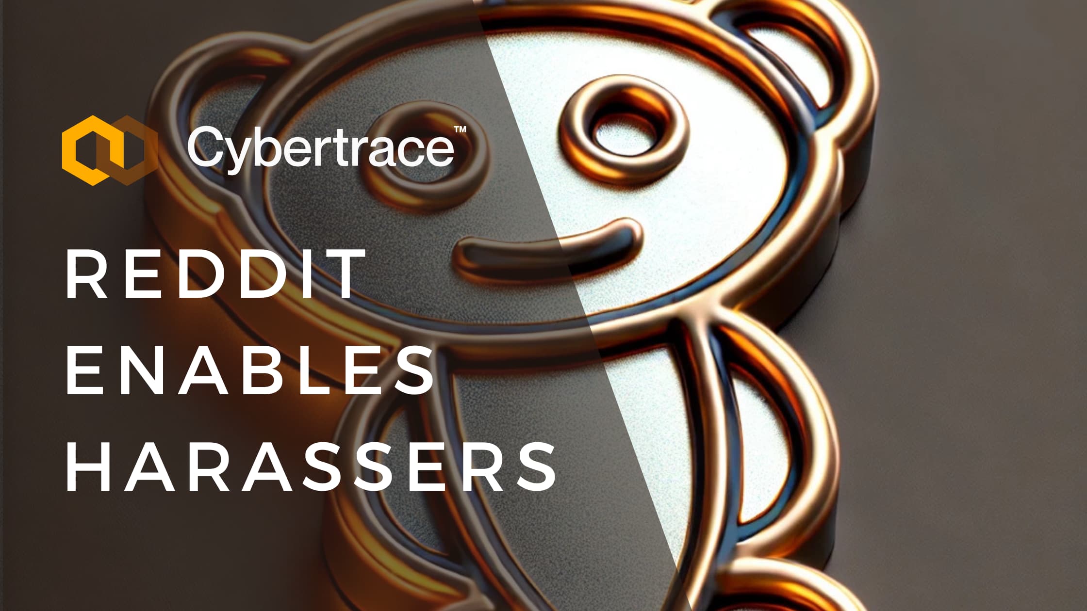Reddit investigator traces $2 billion in grants — 'child safety' age verification laws are written by a company that profits from your data — documented evidence