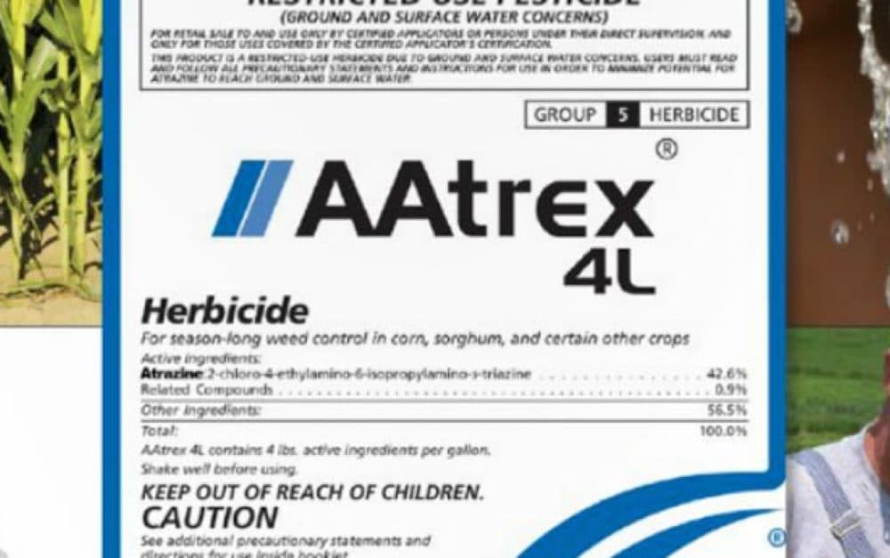 Pesticide atrazine turned male frogs into functional females — Syngenta launched a 15-year campaign to destroy the scientist who proved it — documented evidence