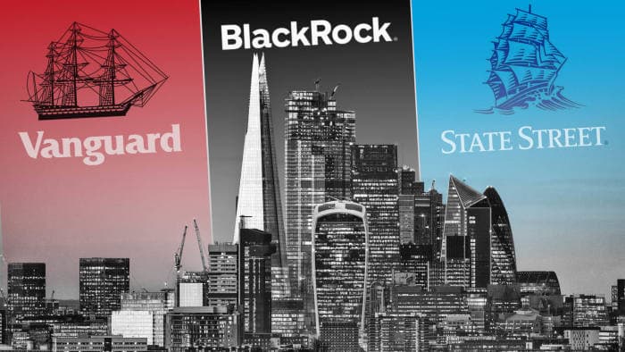 BlackRock, Vanguard, and State Street collectively own dominant stakes in virtually every major US corporation — documented evidence