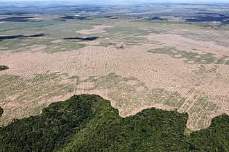 Brazil's government fired the space agency head who published accurate Amazon deforestation data showing a 40% surge — documented evidence
