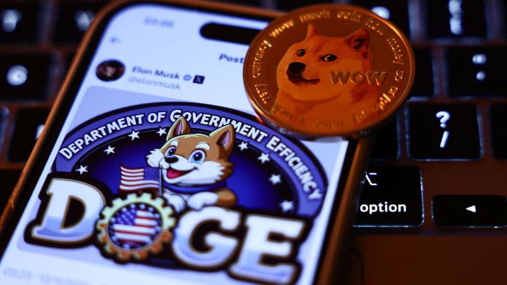 DOGE sought access to Treasury payment systems with SSN and bank data for every American — 18 AGs sued and a judge said data may have already leaked — documented evidence
