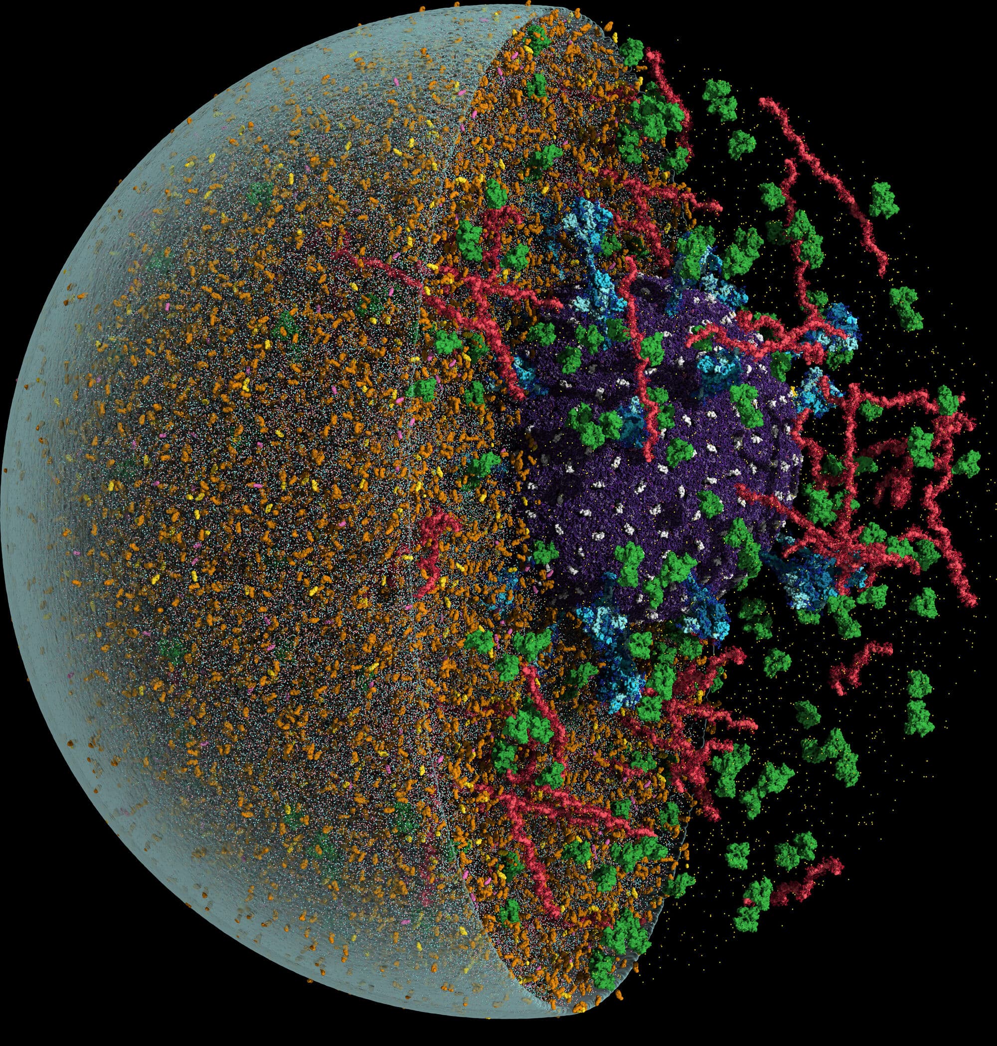 Gates/WEF simulated coronavirus pandemic killing 65M - 6 weeks before COVID — documented evidence