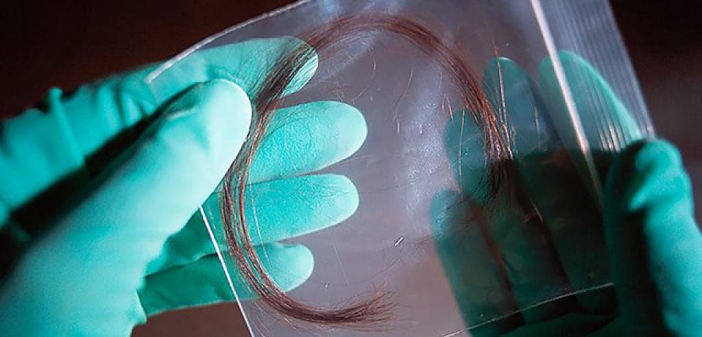 The FBI admitted its forensic hair analysts gave flawed testimony in 95% of cases over two decades — at least 14 defendants were executed — documented evidence