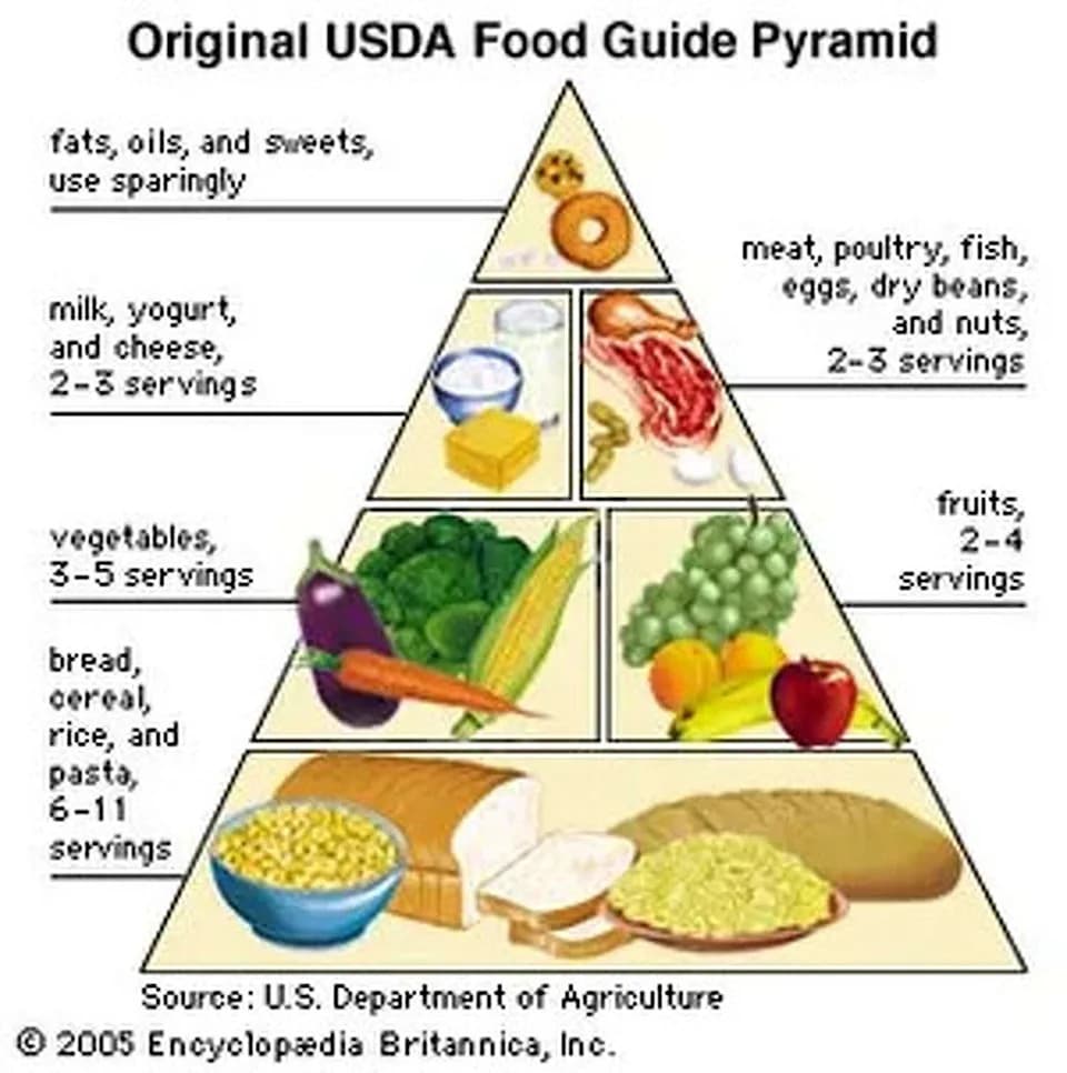 The USDA food pyramid was shaped by meat, dairy, and food industry lobbyists — who changed 'eat less meat' to 'have two or three servings'