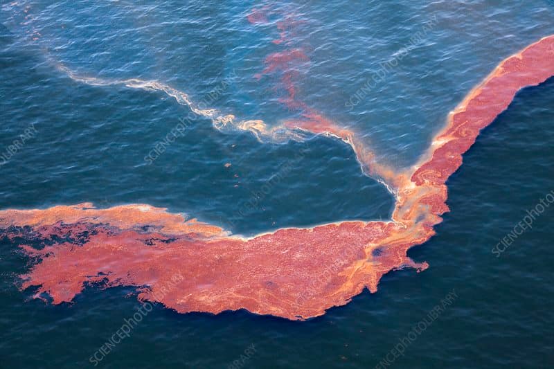 Mexico hid a massive oil spill for six weeks — satellite images prove the government lied about when it started — documented evidence