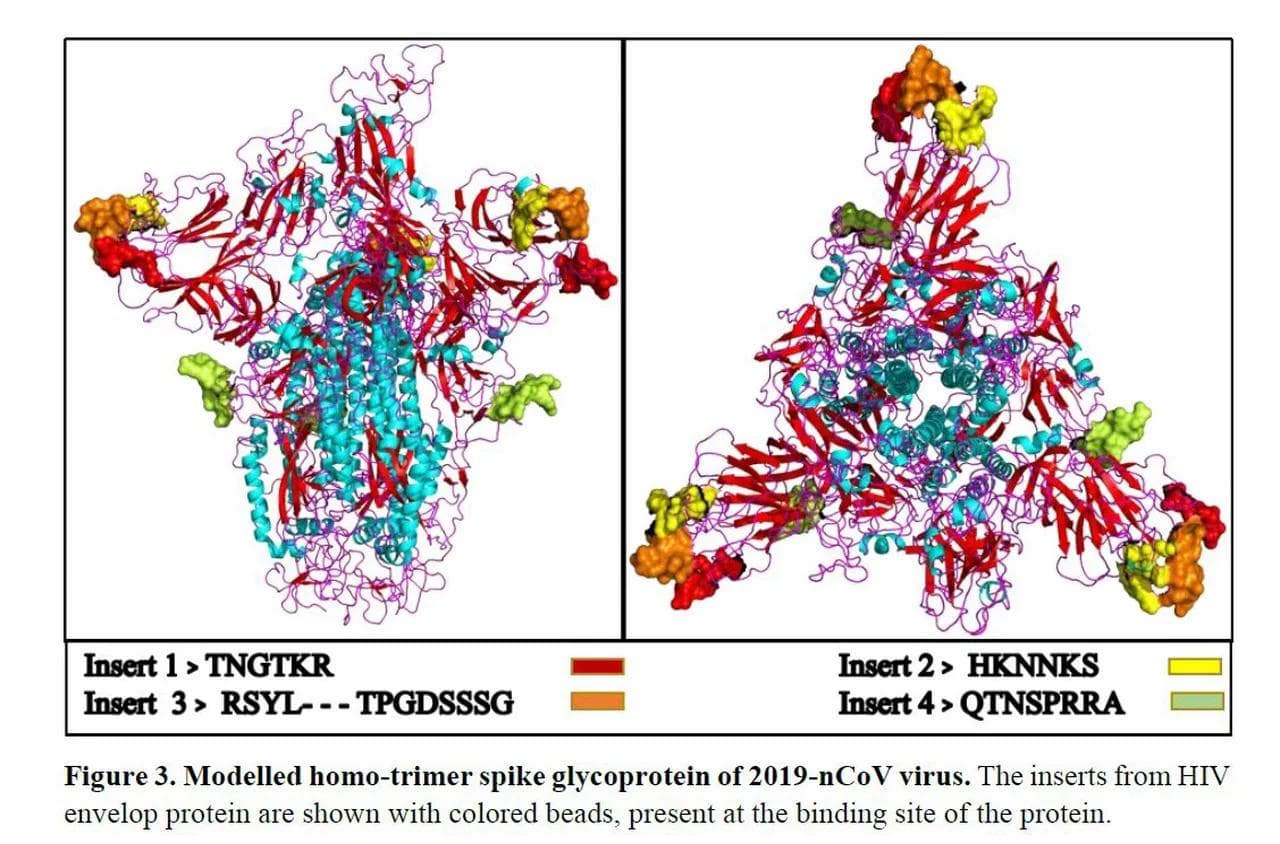 A 19-nucleotide sequence in COVID-19's furin cleavage site is a 100% match to a Moderna patent filed in 2016 — odds: 1 in 3 trillion — documented evidence