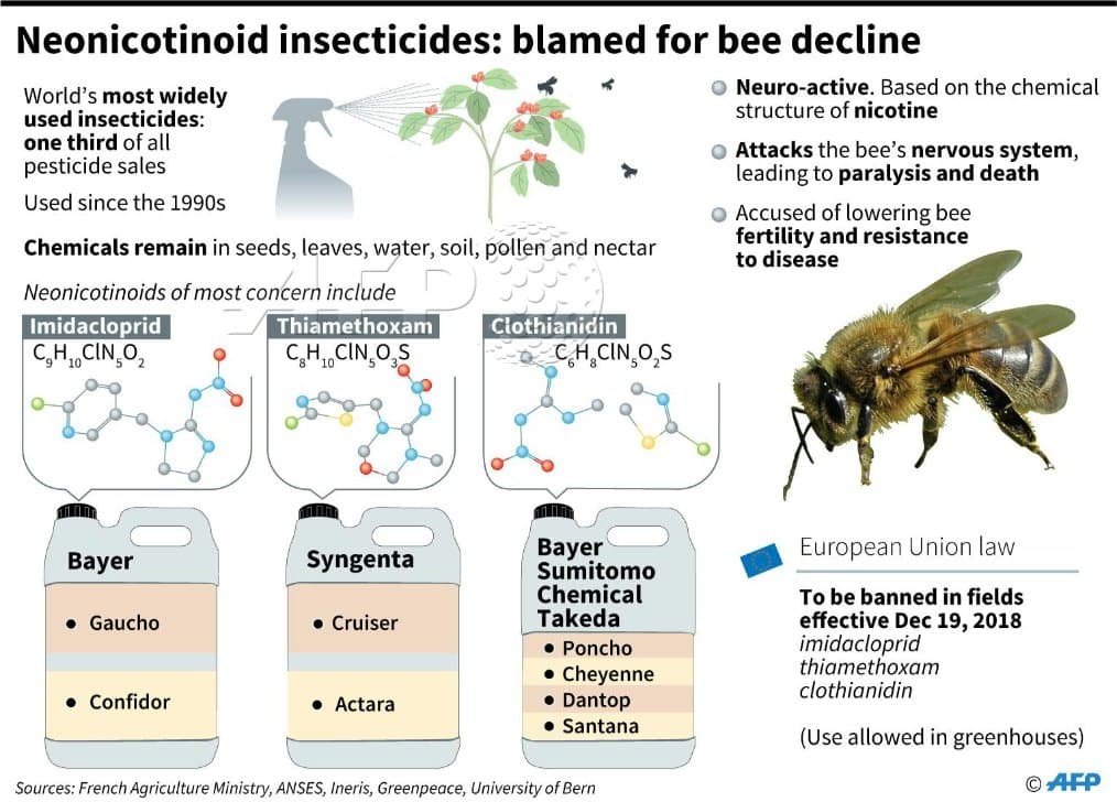 Bayer's neonicotinoid pesticides caused mass bee die-offs — the company launched a fake 'Bee Care' PR campaign to bury the science — documented evidence