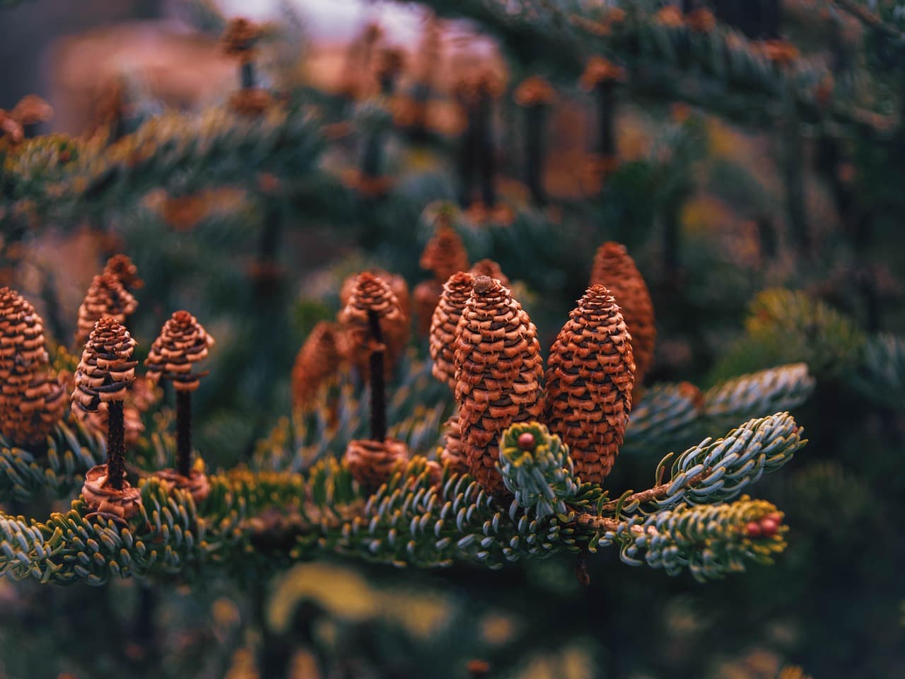 Palantir's CEO openly confesses to deliberately disrupting democratic power structures — documented evidence