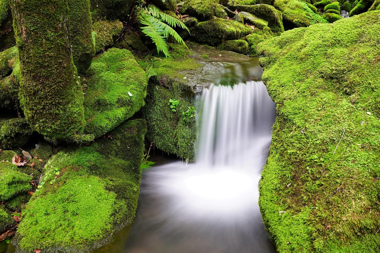 Pam Bondi was fired days before she was set to testify under oath about the Epstein files — documented evidence