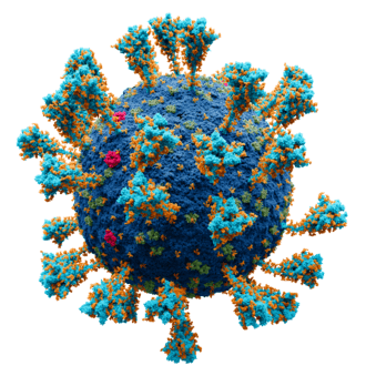 COVID PCR tests run at 40-45 cycles produced massive false positive rates — the WHO quietly updated guidance the day after Biden's inauguration — documented evidence