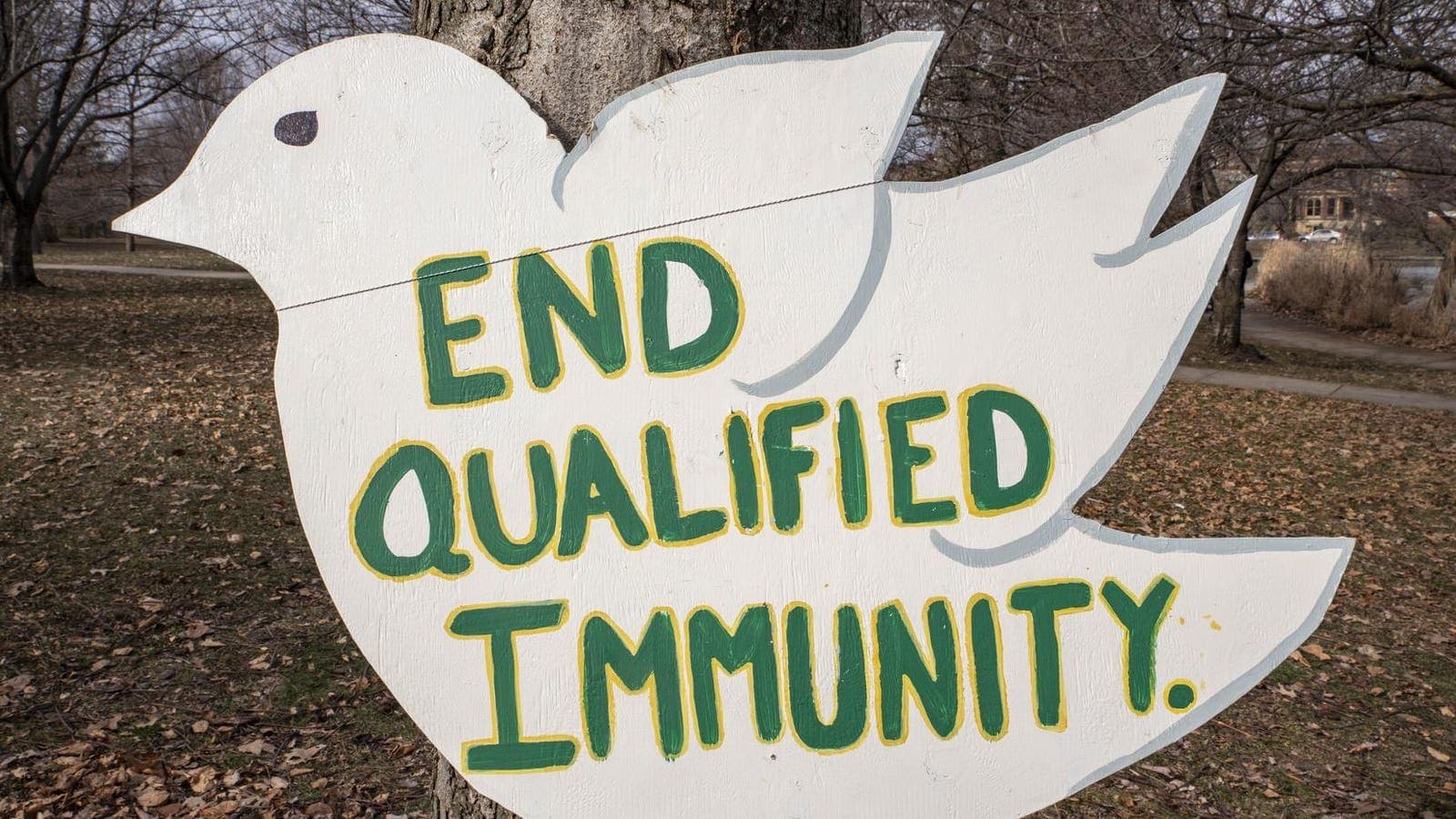 Courts grant qualified immunity to police in 54% of excessive force cases — officers are shielded unless the exact same abuse was previously ruled unlawful — documented evidence