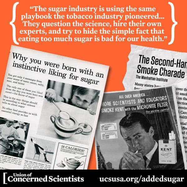 The sugar industry paid Harvard scientists to publish a fraudulent review blaming fat for heart disease, shaping nutrition policy for 50 years