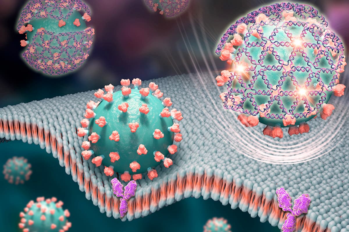 Researchers found SV40 promoter sequences and excess DNA contamination in mRNA COVID vaccines, exceeding FDA limits by up to 627-fold — documented evidence