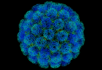 Researchers found SV40 promoter sequences and excess DNA contamination in mRNA COVID vaccines, exceeding FDA limits by up to 627-fold — documented evidence