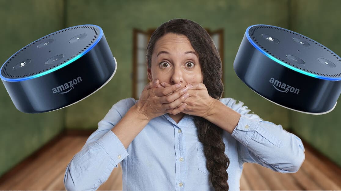 Amazon Alexa Recorded Private Conversations and Sent Them to Contacts — documented evidence