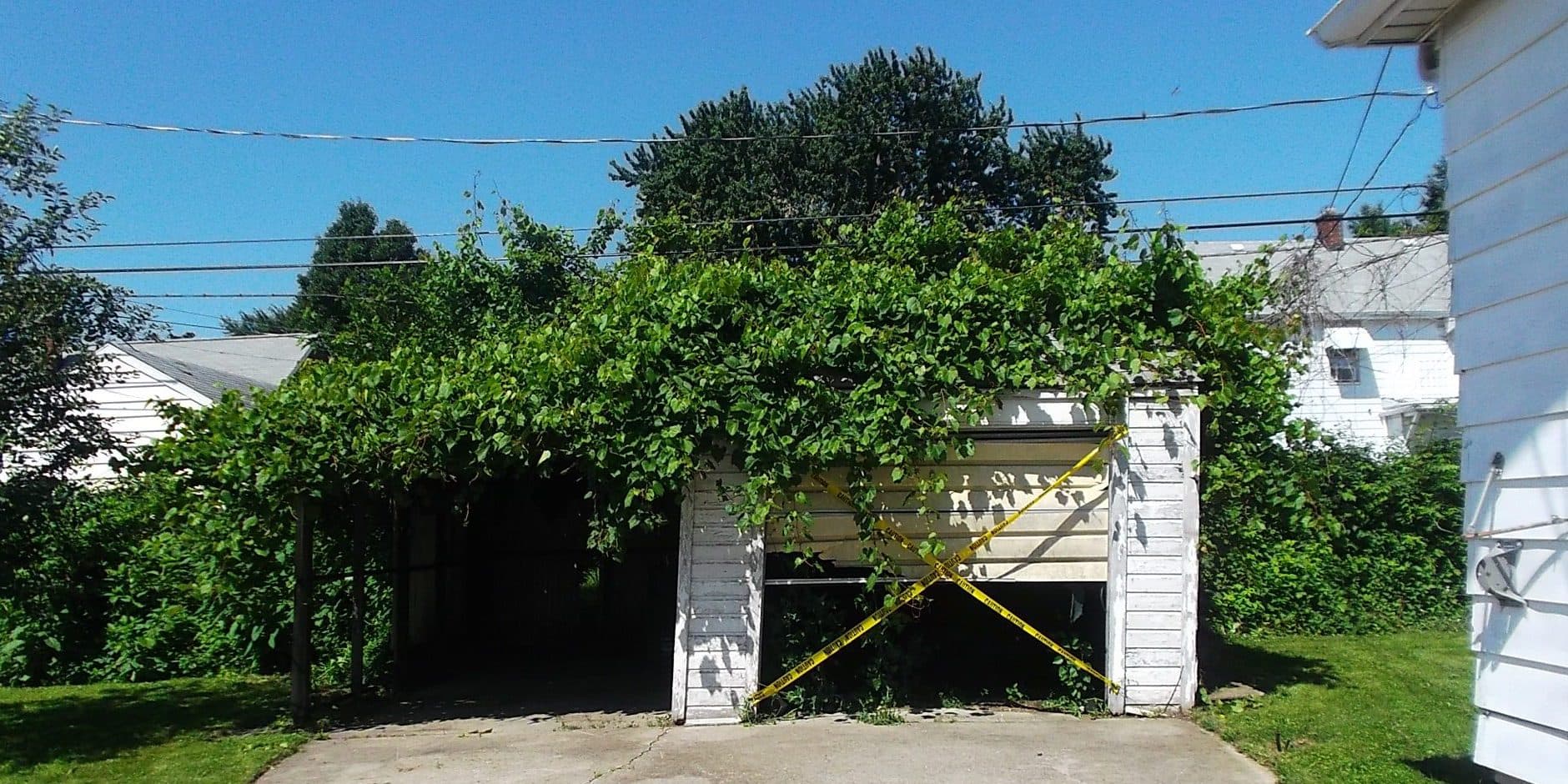 Bank of America Deliberately Foreclosed on Homes They Didn't Own — documented evidence