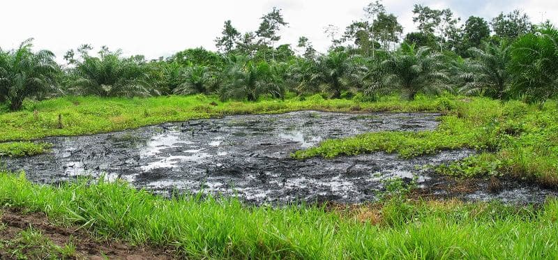 Chevron covered up massive oil spills and environmental damage in Ecuador's Amazon rainforest — documented evidence