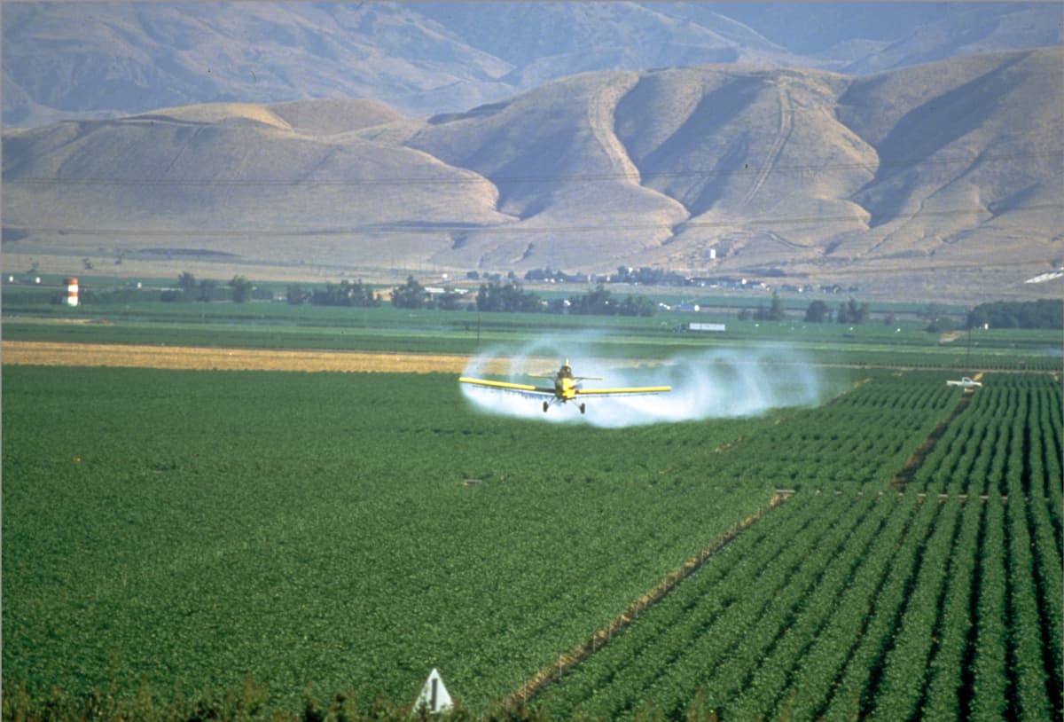 Dow Chemical Covered Up Agent Orange Health Effects During Vietnam War — documented evidence