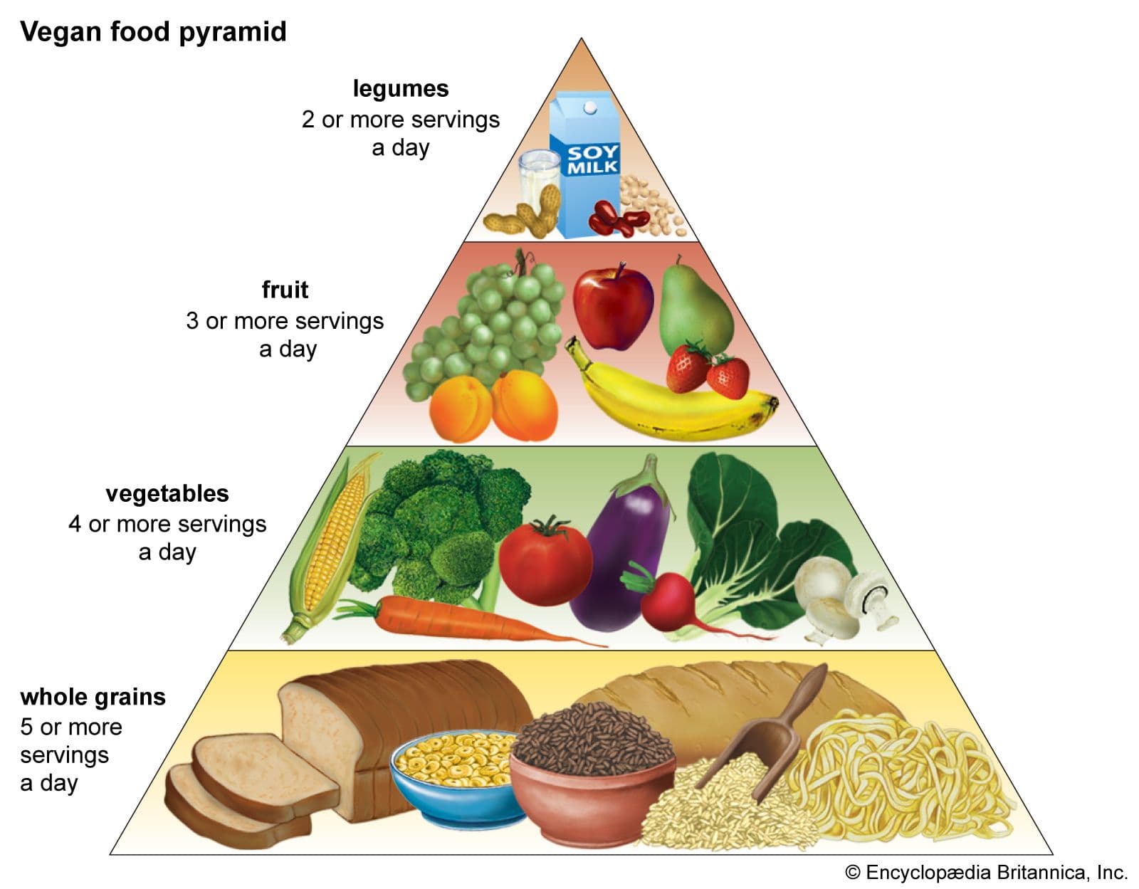 The USDA food pyramid was shaped by meat, dairy, and food industry lobbyists — who changed 'eat less meat' to 'have two or three servings'