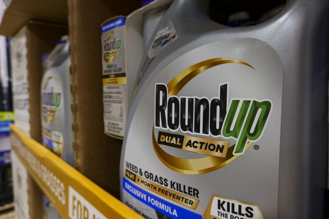 Monsanto ghostwrote studies claiming glyphosate safety while hiding cancer evidence — documented evidence