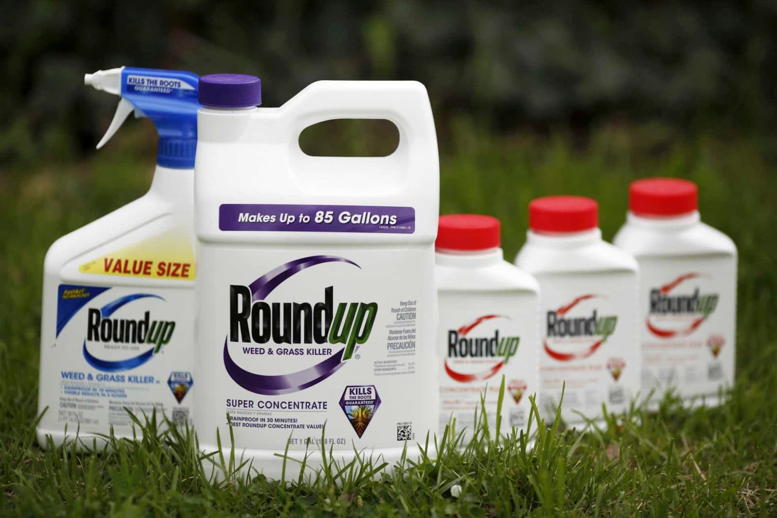 Monsanto Hid Glyphosate Cancer Links in Internal Company Studies — documented evidence
