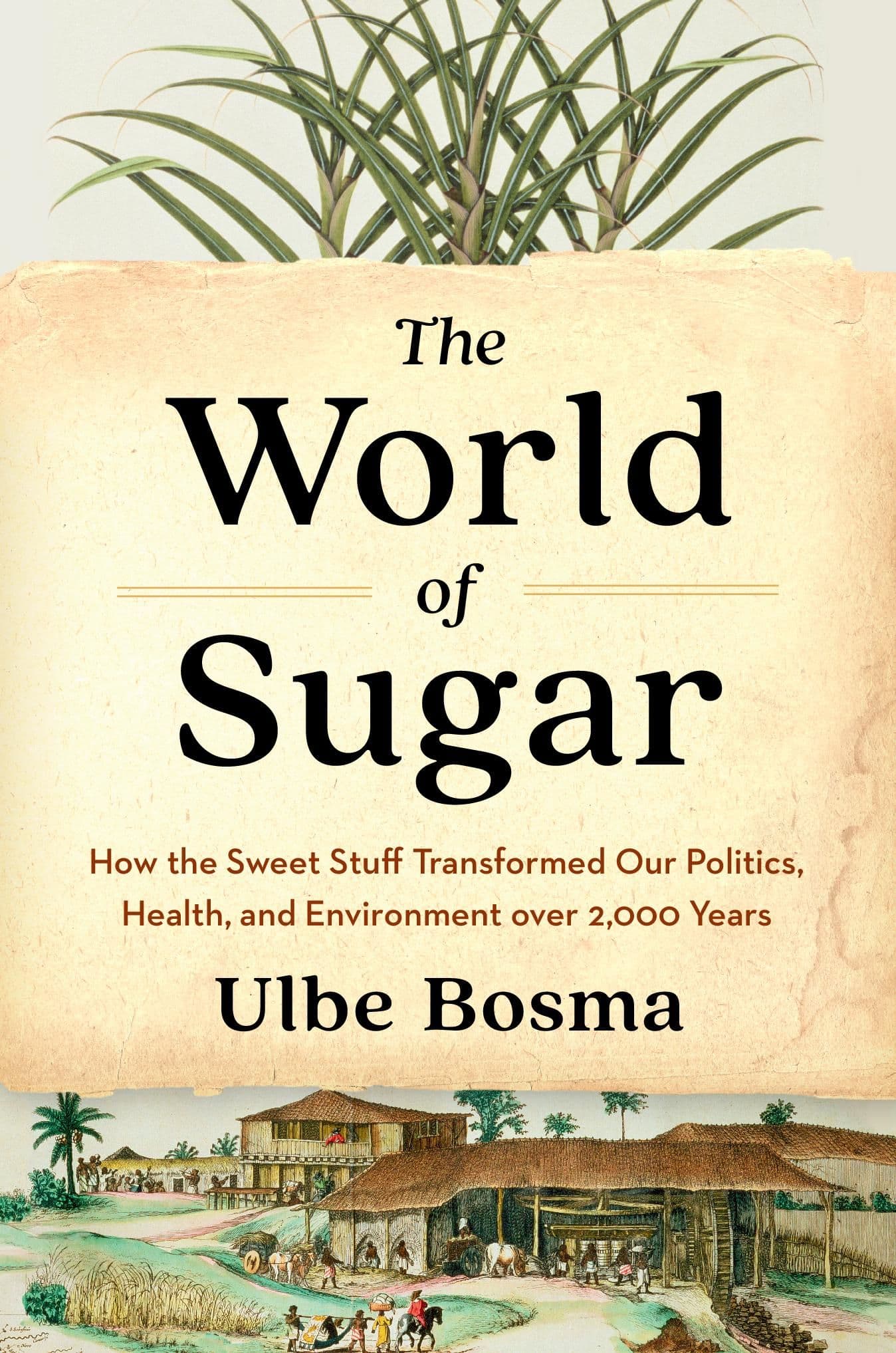 Sugar Industry Secretly Funded Harvard Research to Blame Fat Instead of Sugar — documented evidence