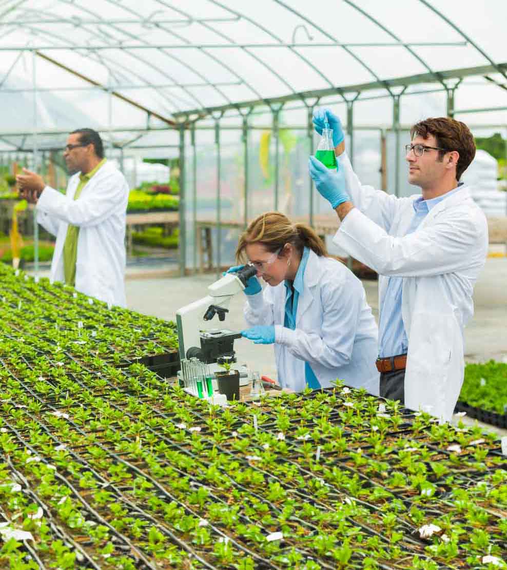 Syngenta scientists found atrazine herbicide caused hormonal disruption but attacked researchers — documented evidence