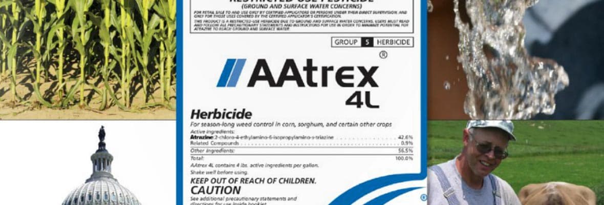 Syngenta Suppressed Studies Showing Atrazine Hormone Disruption — documented evidence