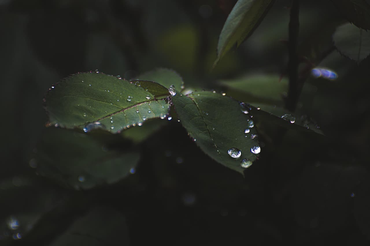 Voice of America Secretly Funded Anti-Communist Propaganda Through Front Organizations — documented evidence